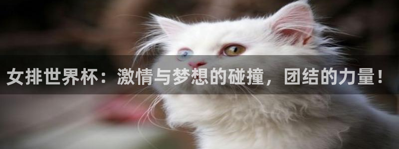 2026世界杯足球赛程时间表：女排世界杯：激情与梦想的碰撞，团结的力量！