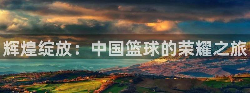 世界杯预选赛：辉煌绽放：中国篮球的荣耀之旅