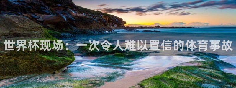 2026世界杯赛程：世界杯现场：一次令人难以置信的体育事故