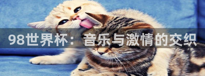 2026世界杯赛制：98世界杯：音乐与激情的交织