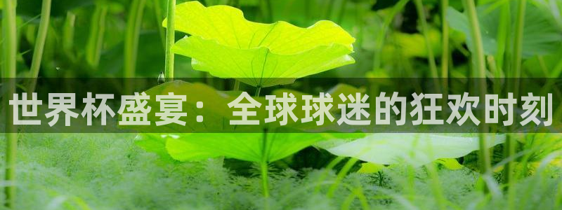 世界杯 赛程：世界杯盛宴：全球球迷的狂欢时刻