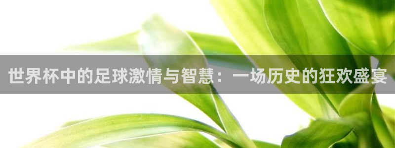 世界杯球赛：世界杯中的足球激情与智慧：一场历史的狂欢盛宴