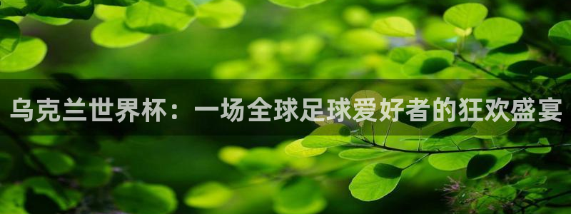 世预赛免费直播入口：乌克兰世界杯：一场全球足球爱好者的狂欢盛宴