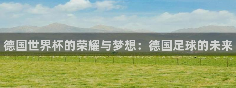 世界杯赛程2026：德国世界杯的荣耀与梦想：德国足球的未来