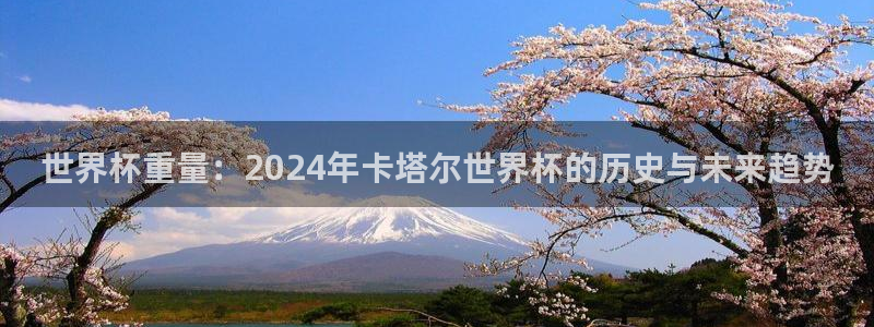 世界杯 中国：世界杯重量：2024年卡塔尔世界杯的历史与未来趋势
