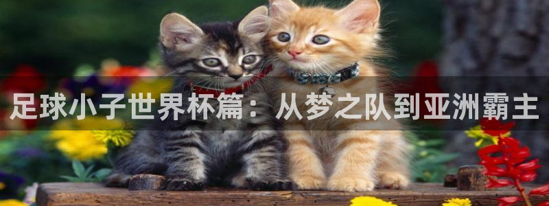 2026男足世界杯：足球小子世界杯篇：从梦之队到亚洲霸主